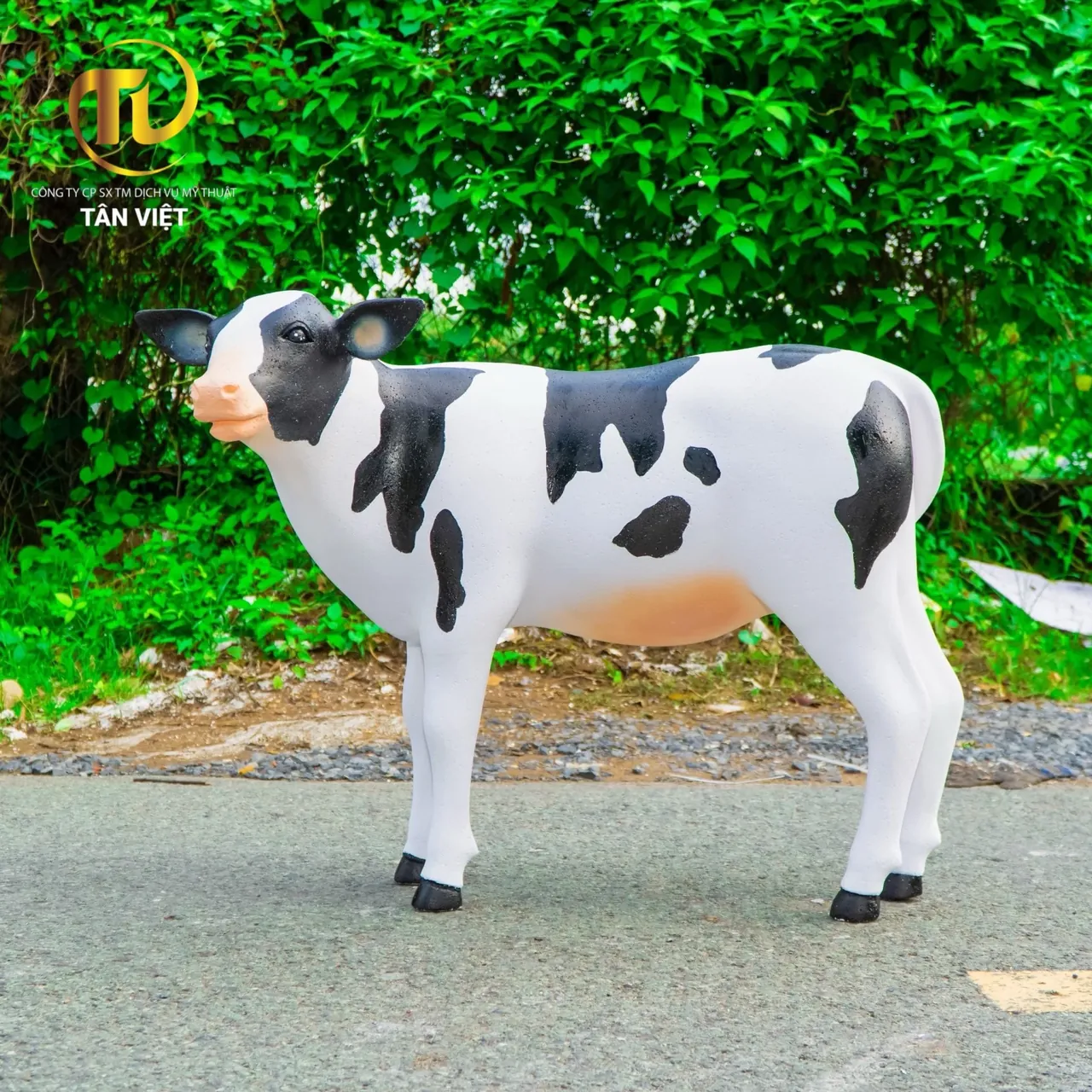 100+ ảnh con bò đáng yêu nhất · ảnh 3