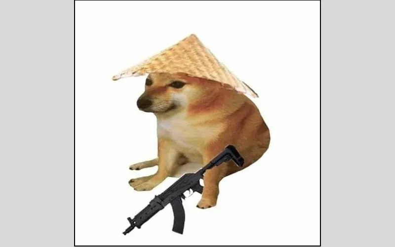 60+ ảnh meme con chó hài hước khiến bạn cười ngập bụng · ảnh 3