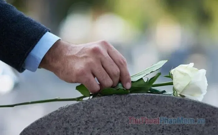 99+ ảnh người mất lưu giữ ký ức thiêng liêng và xúc động