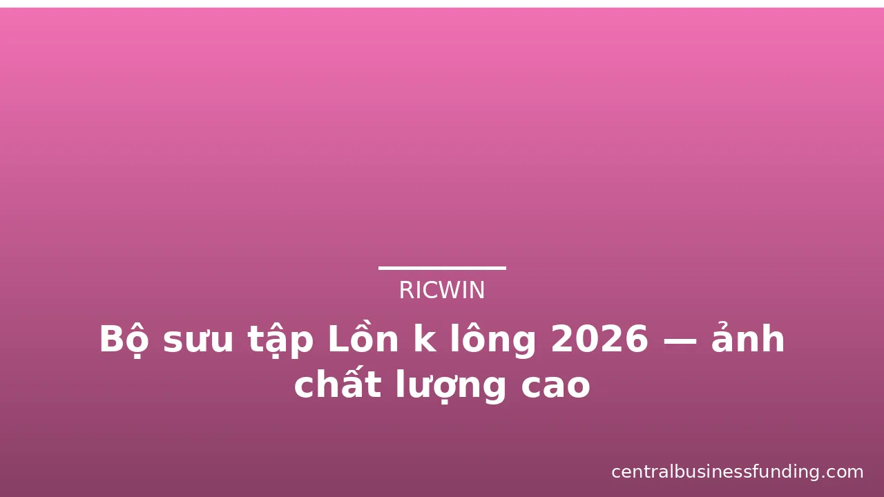 Bộ sưu tập Lồn k lông 2026 — ảnh chất lượng cao · ảnh 1