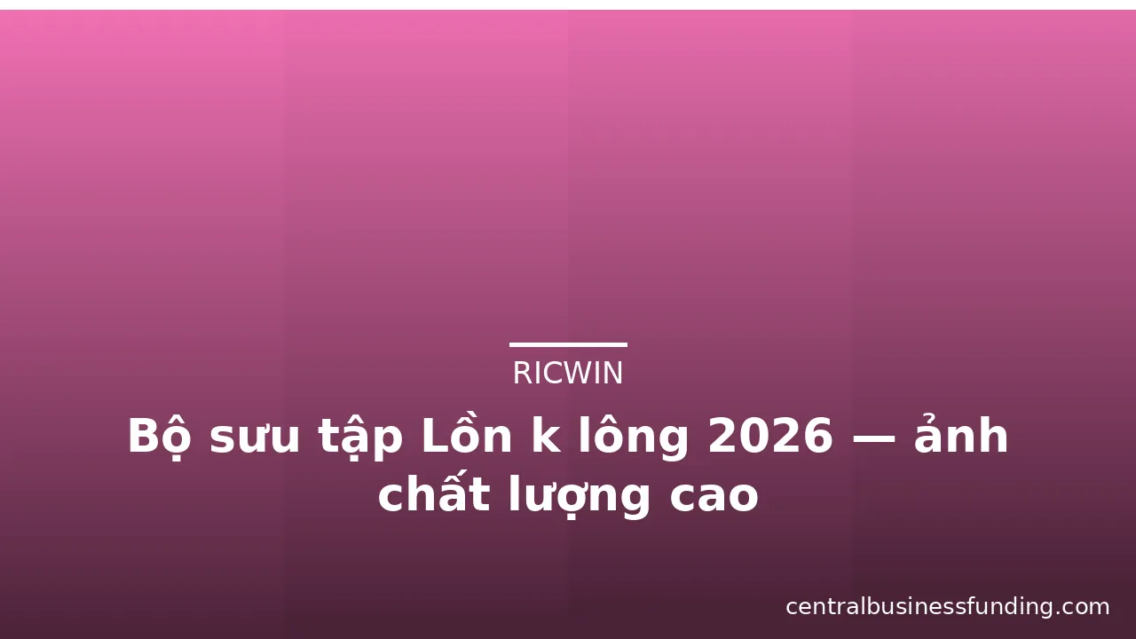 Bộ sưu tập Lồn k lông 2026 — ảnh chất lượng cao · ảnh 2