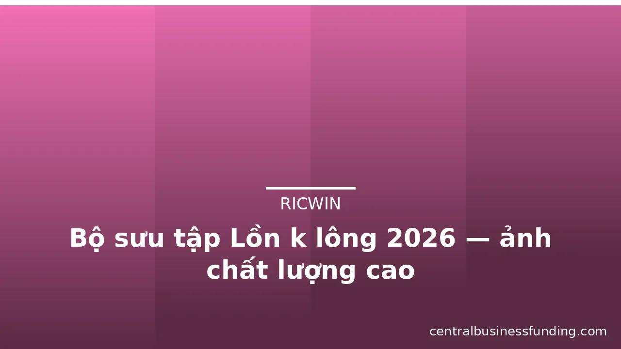 Bộ sưu tập Lồn k lông 2026 — ảnh chất lượng cao · ảnh 3