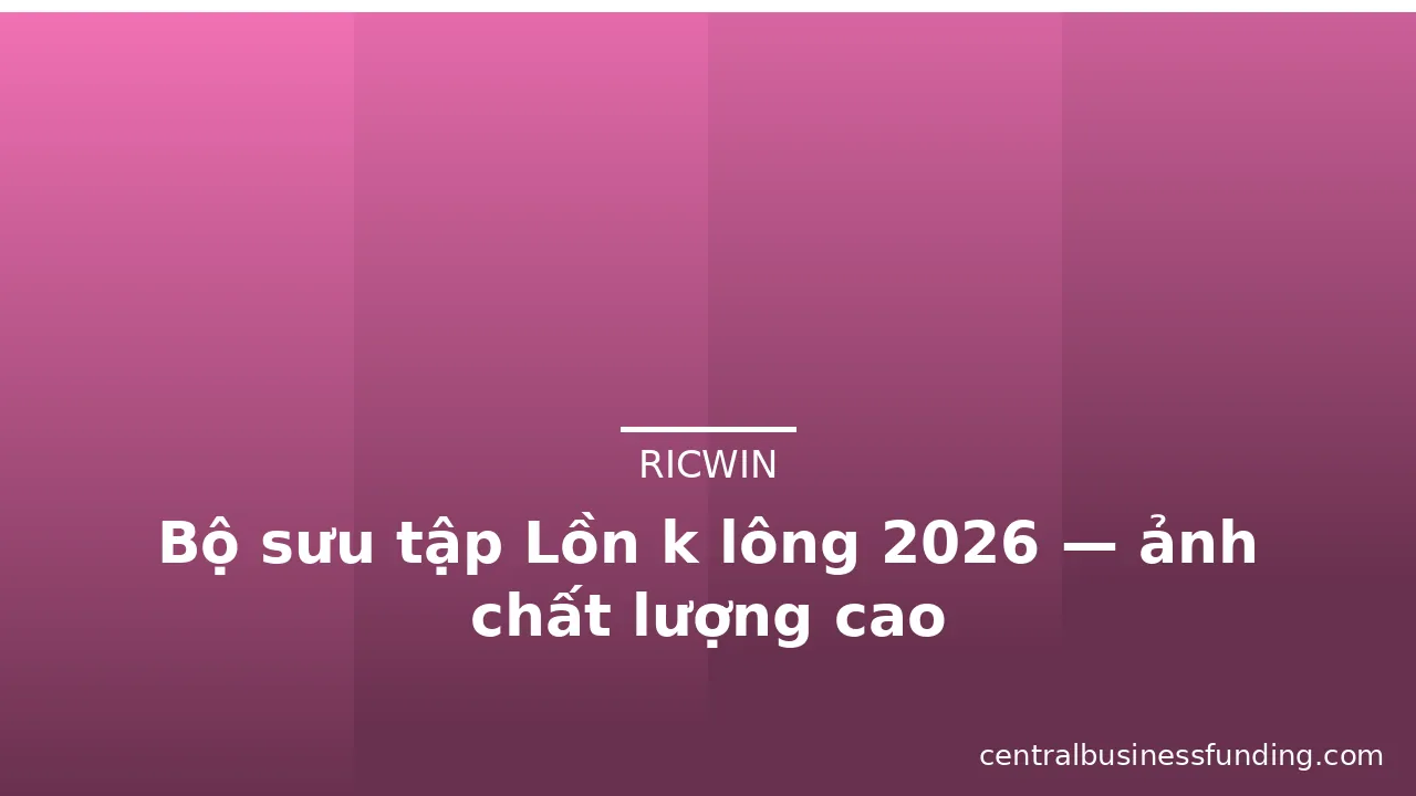 Bộ sưu tập Lồn k lông 2026 — ảnh chất lượng cao
