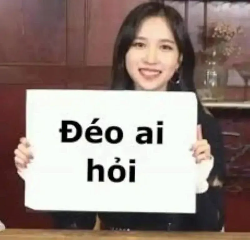 Tuyển tập 100+ ảnh meme ai hỏi chất lầy · ảnh 3